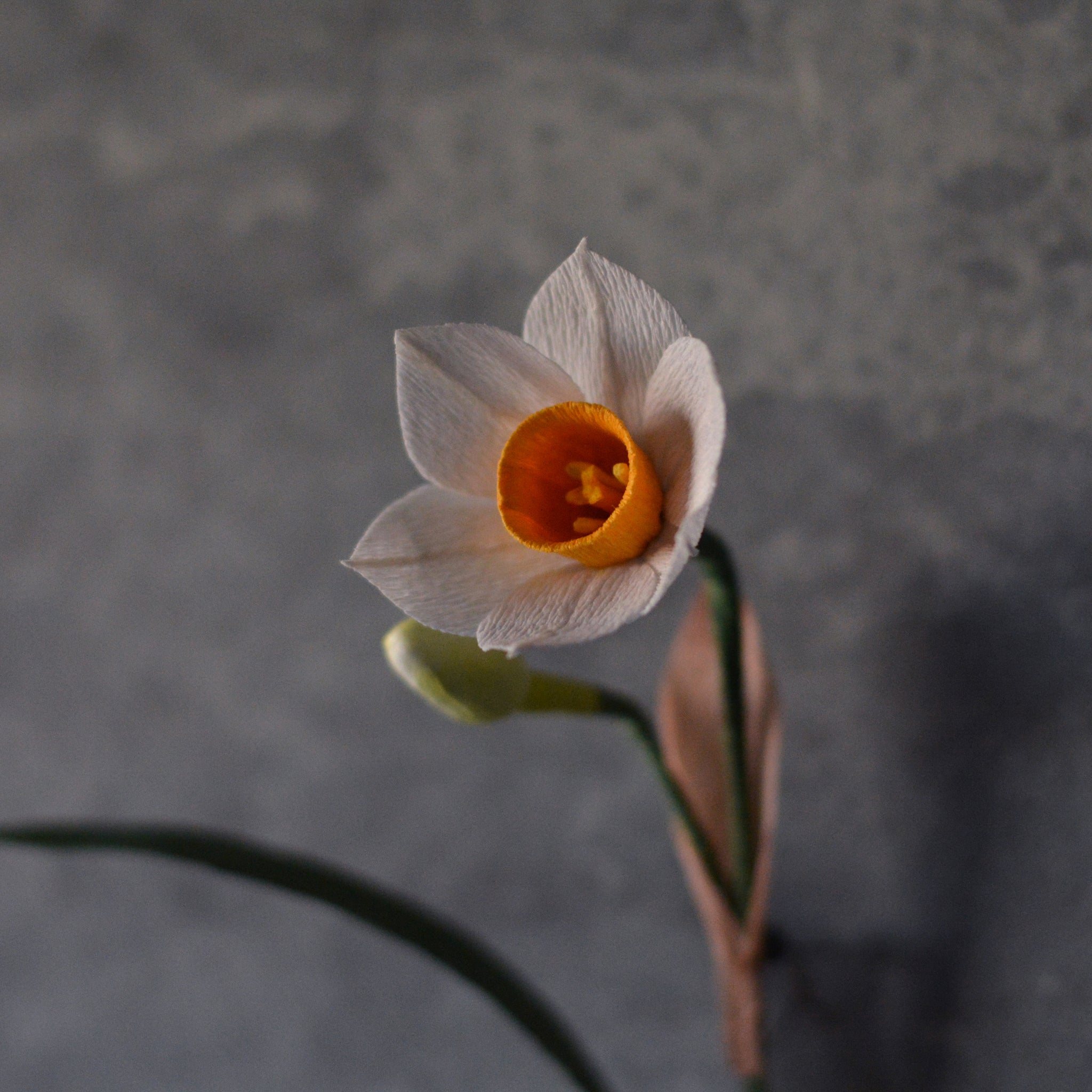 花一輪 お正月の一輪「紙の花 水仙 金の葉」| 雨 北鎌倉 – amanai